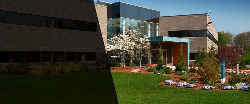 Beaumont Landscapers