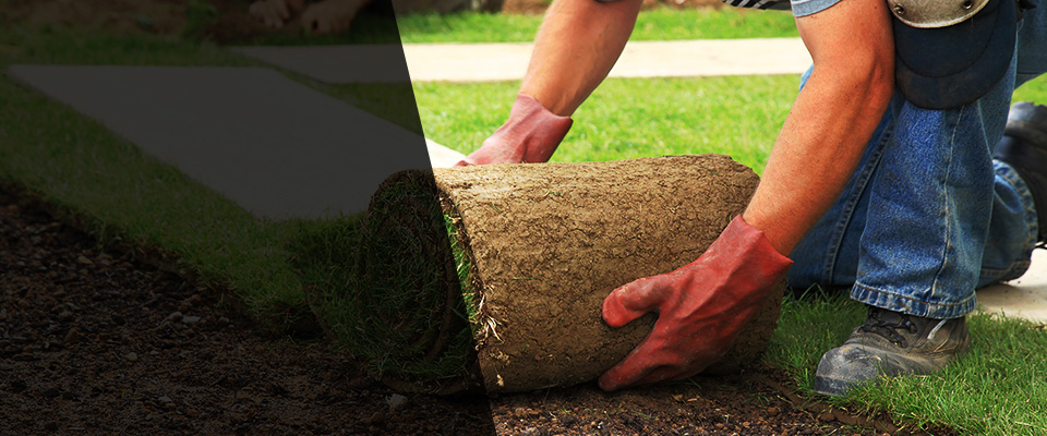 Beaumont Landscapers